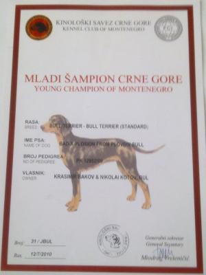 Прикачена снимка