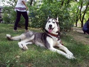 Прикачена снимка