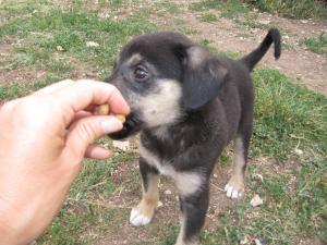 Прикачена снимка