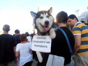 Прикачена снимка