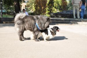 Прикачена снимка