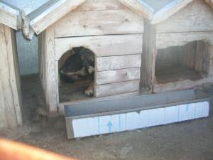Прикачена снимка
