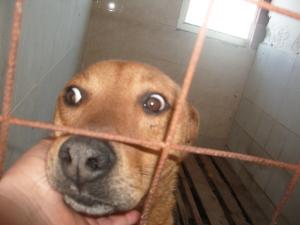 Прикачена снимка