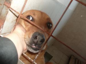 Прикачена снимка