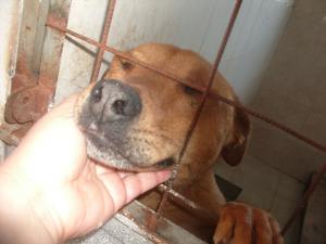 Прикачена снимка