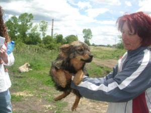 Прикачена снимка