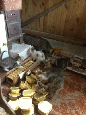 Прикачена снимка