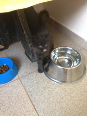 Прикачена снимка