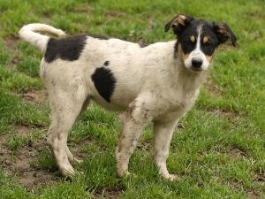 Прикачена снимка