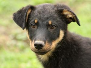 Прикачена снимка