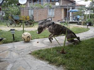 Прикачена снимка