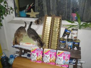Прикачена снимка