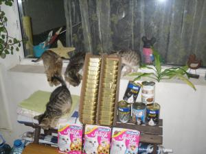 Прикачена снимка