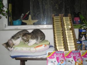 Прикачена снимка