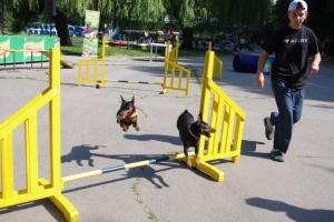 Прикачена снимка