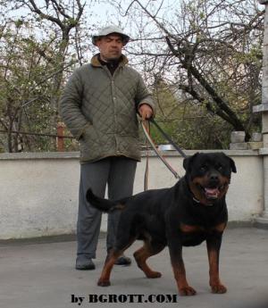 Прикачена снимка