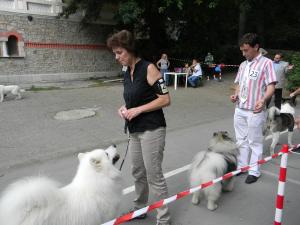 Прикачена снимка