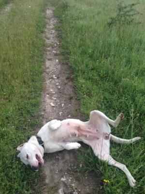 Прикачена снимка