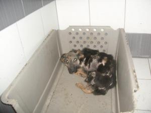 Прикачена снимка