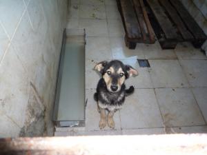 Прикачена снимка