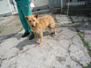 Прикачена снимка
