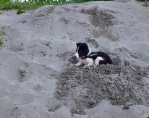 Прикачена снимка