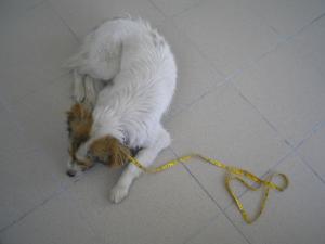 Прикачена снимка