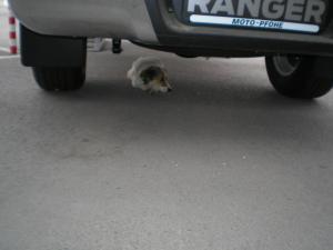 Прикачена снимка