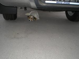 Прикачена снимка