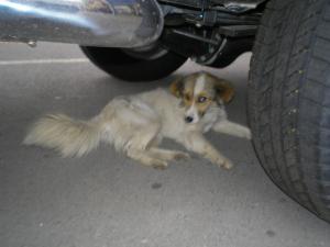 Прикачена снимка