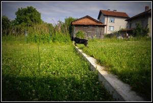 Прикачена снимка