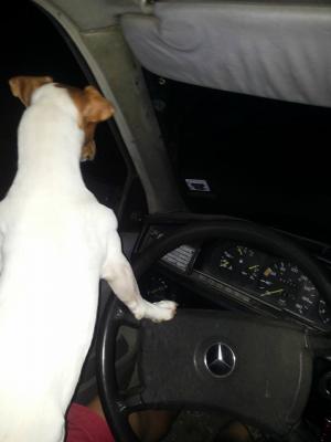 Прикачена снимка