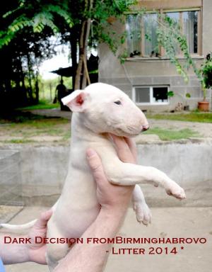 Прикачена снимка