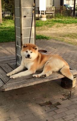 Прикачена снимка