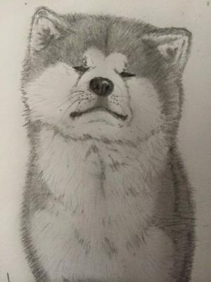 Прикачена снимка