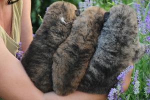 Прикачена снимка