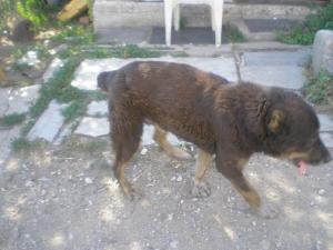 Прикачена снимка
