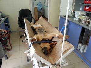 Прикачена снимка