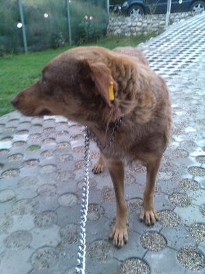 Прикачена снимка