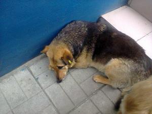 Прикачена снимка