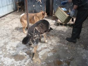 Прикачена снимка