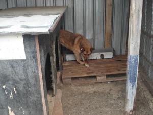 Прикачена снимка