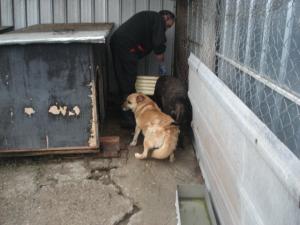 Прикачена снимка