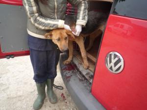Прикачена снимка