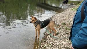 Прикачена снимка