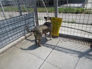 Прикачена снимка