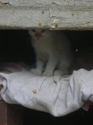 Прикачена снимка