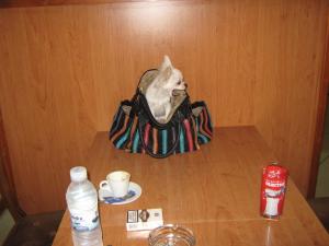 Прикачена снимка