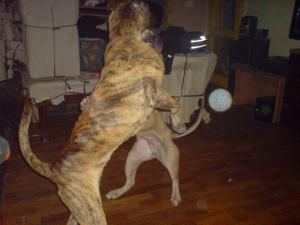 Прикачена снимка