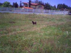 Прикачена снимка